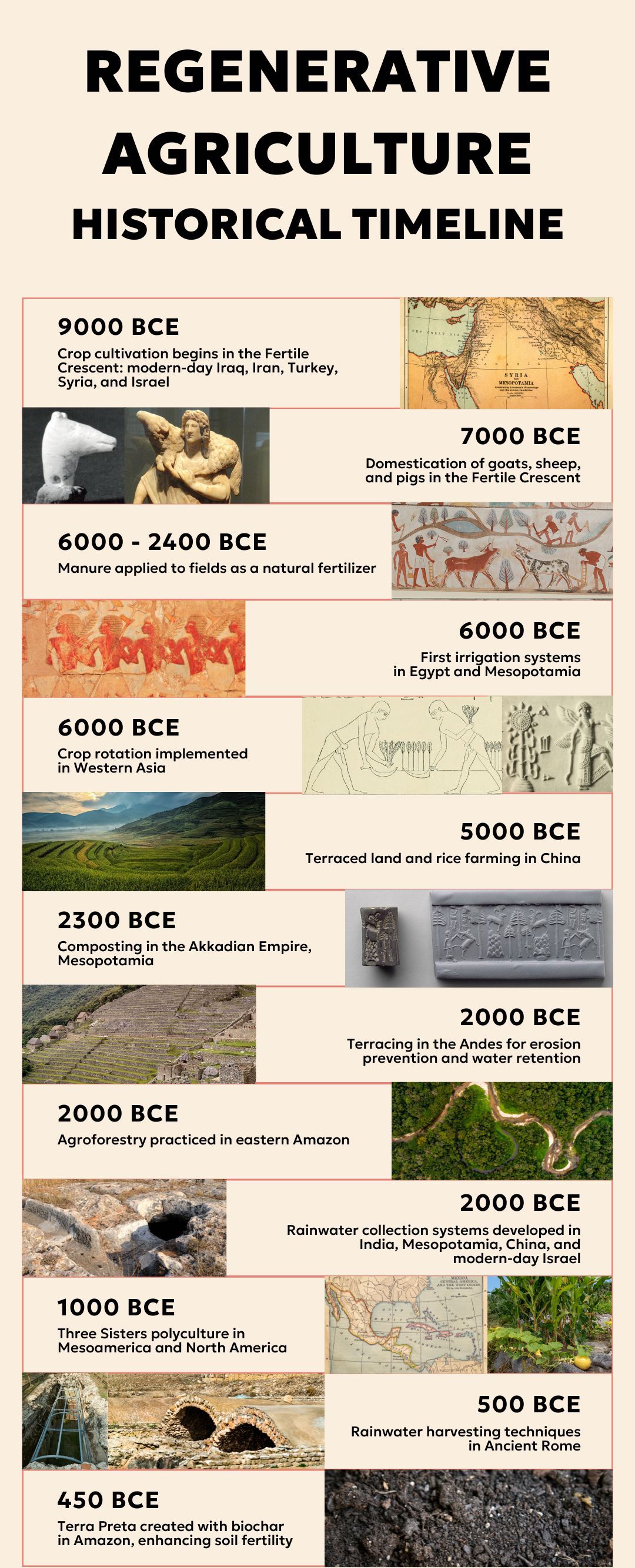 History Changing Events In Agriculture Origins Of Agriculture